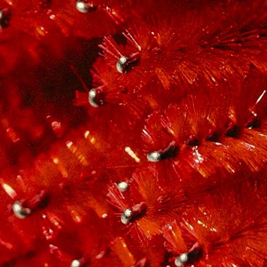 New Client Jumpstart